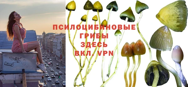шишки Абдулино