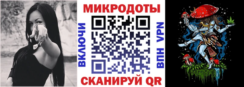 закладка  Остров  Псилоцибиновые грибы Psilocybe 